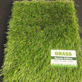 WhatsApp Image 2025-07-08 at 19.29.46_e601a25d WhatsApp Image 2025-07-08 at 19.29.46_e601a25d